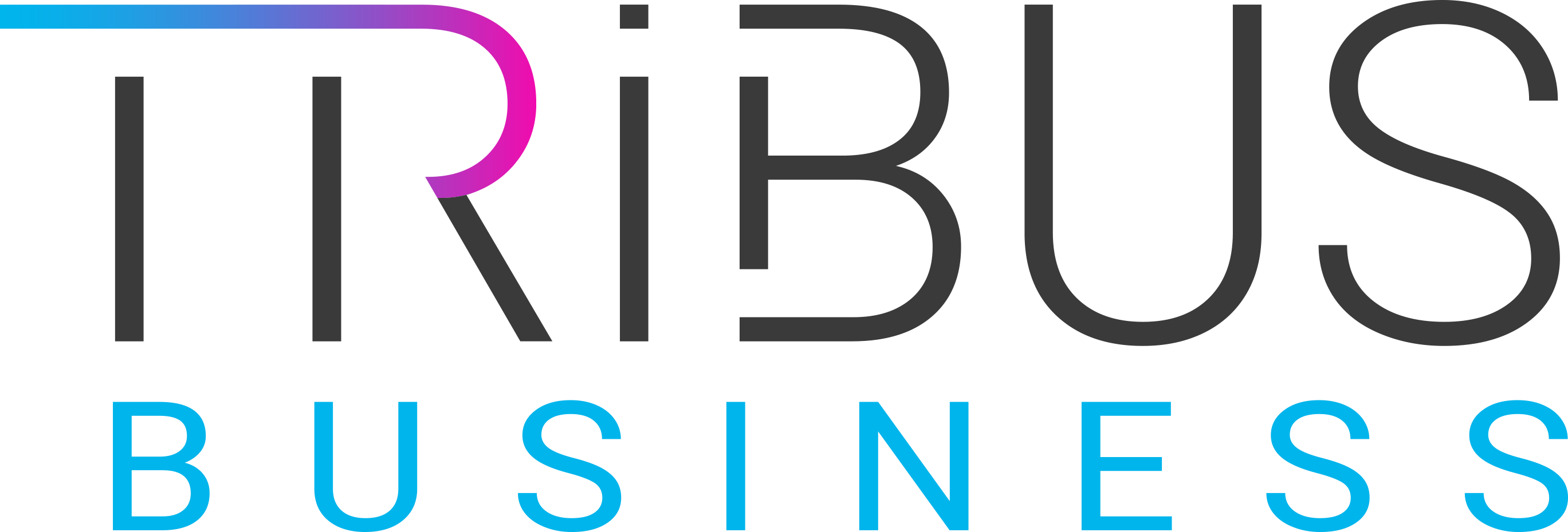 Tribus Business