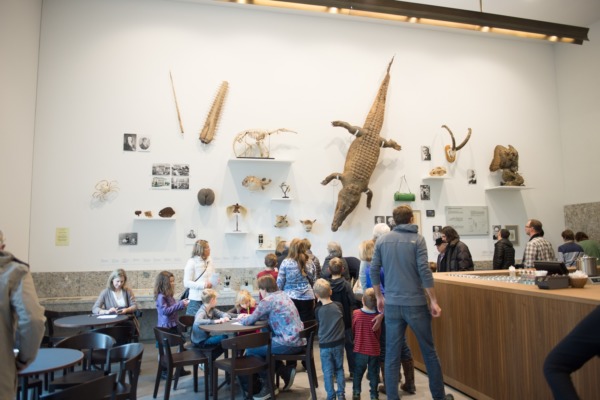 9'000 im neuen Naturmuseum