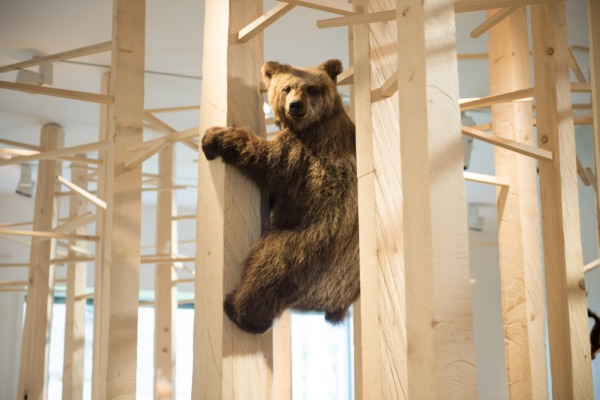 9'000 im neuen Naturmuseum