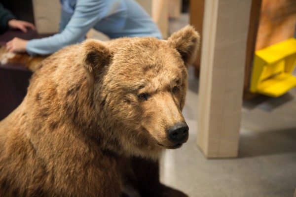 9'000 im neuen Naturmuseum