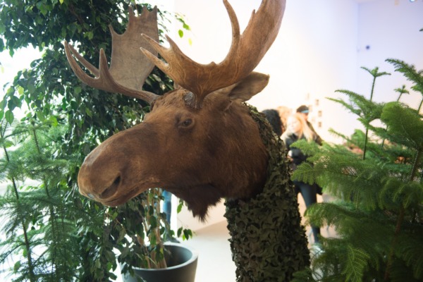 9'000 im neuen Naturmuseum