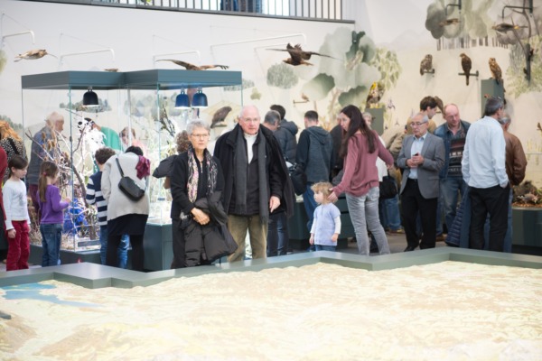 9'000 im neuen Naturmuseum