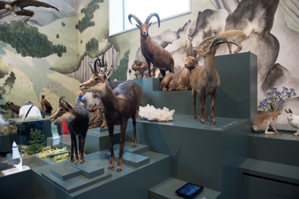9'000 im neuen Naturmuseum