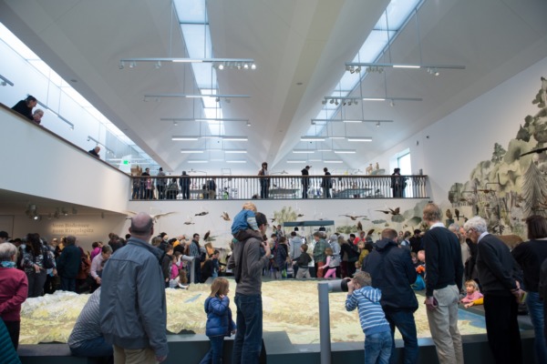9'000 im neuen Naturmuseum