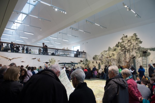 9'000 im neuen Naturmuseum