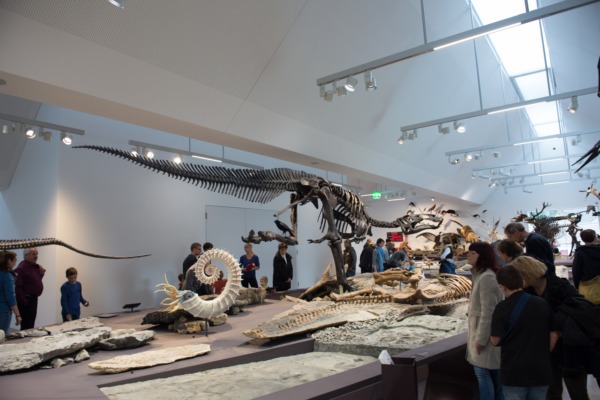 9'000 im neuen Naturmuseum