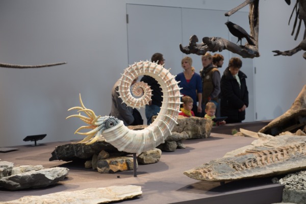9'000 im neuen Naturmuseum
