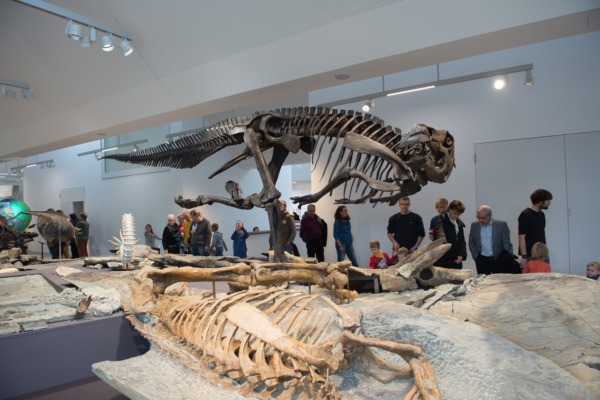 9'000 im neuen Naturmuseum