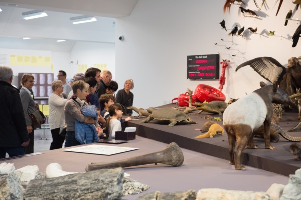 9'000 im neuen Naturmuseum
