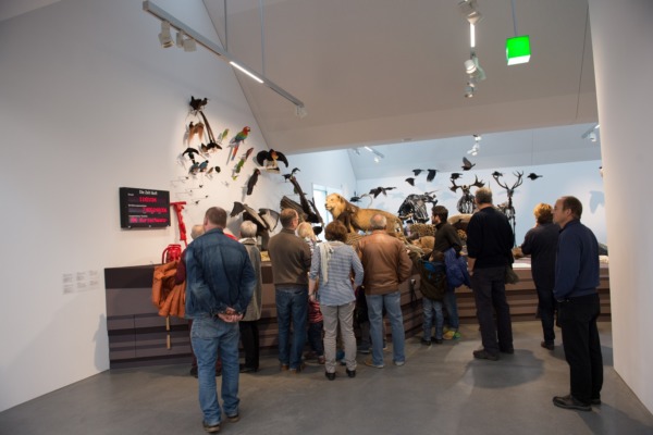 9'000 im neuen Naturmuseum
