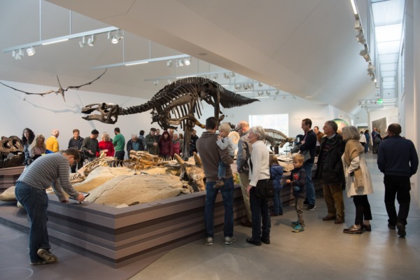 9'000 im neuen Naturmuseum