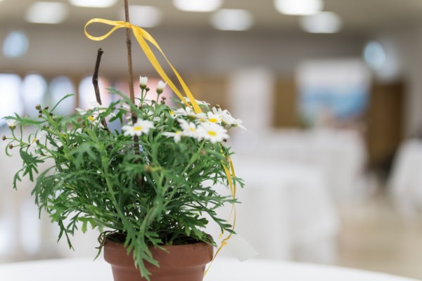 3. Forum für Finanzmanagement
