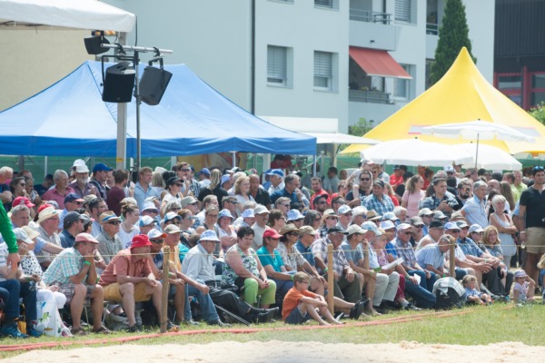 Kantonalschwingfest 2018 in Tübach