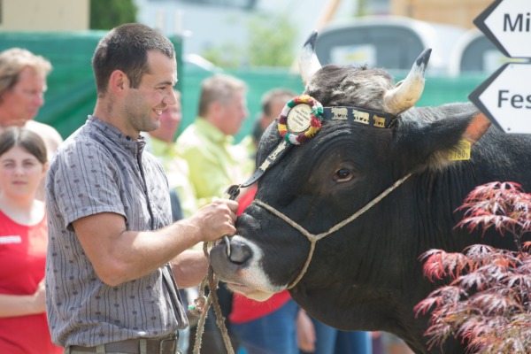Kantonalschwingfest 2018 in Tübach