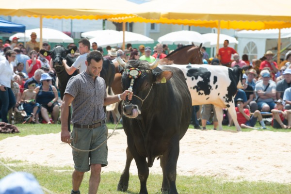 Kantonalschwingfest 2018 in Tübach