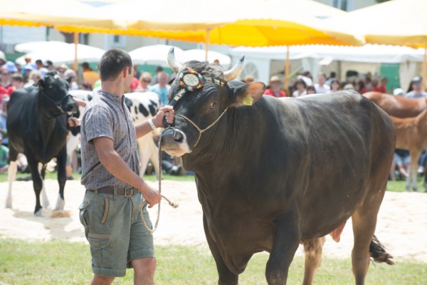 Kantonalschwingfest 2018 in Tübach