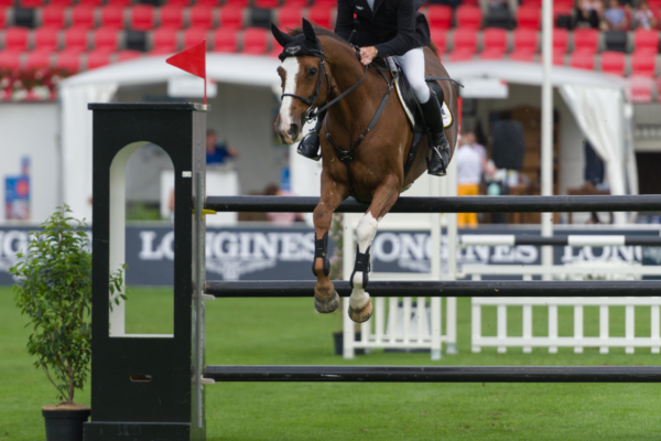 Der LEADER am CSIO 2018