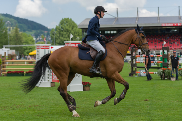 Der LEADER am CSIO 2018