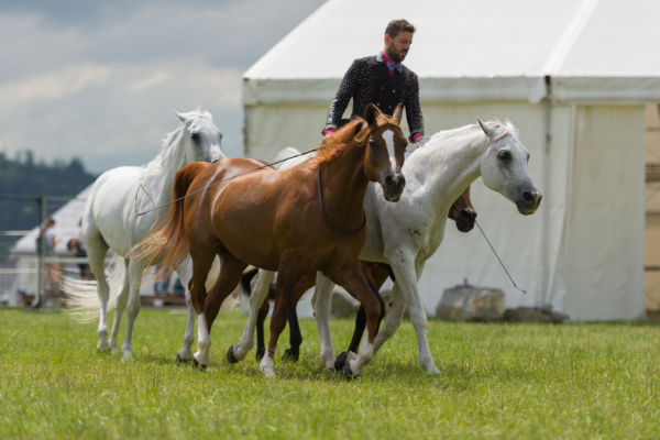 Der LEADER am CSIO 2018