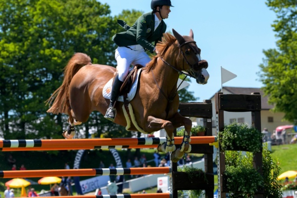 Der LEADER am CSIO 2019