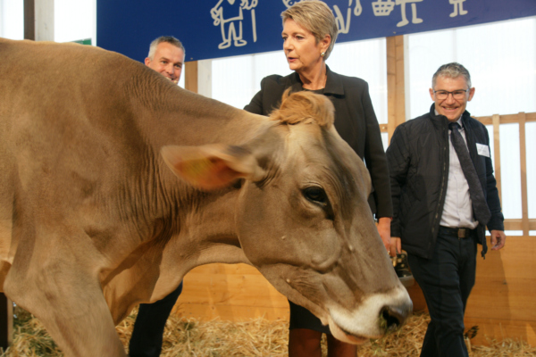 Olma-Eröffnung 2023