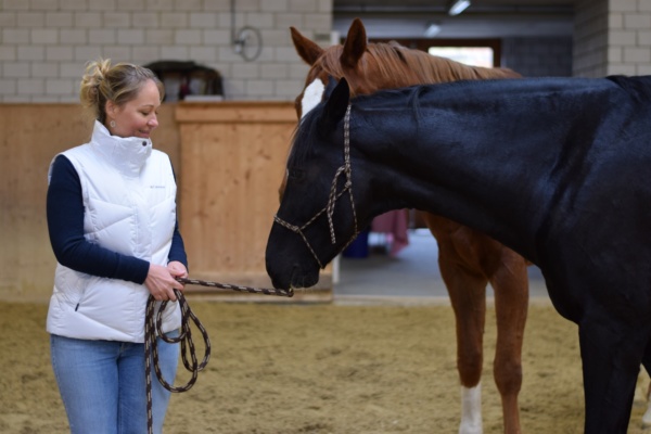 LEADER-Pferde-Event 2019