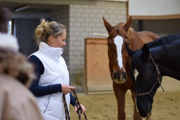 LEADER-Pferde-Event 2019
