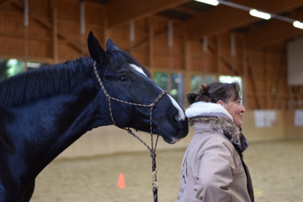 LEADER-Pferde-Event 2019