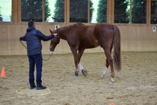 LEADER-Pferde-Event 2019
