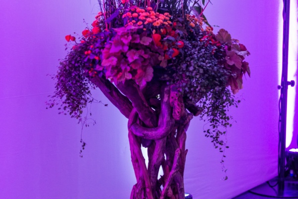 HSG-Ball 2019: Welcome to the Future!