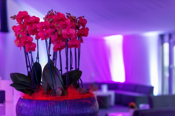 HSG-Ball 2019: Welcome to the Future!
