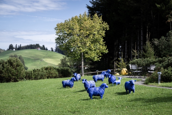 Gipfeltreffen Nellen & Partner 2022