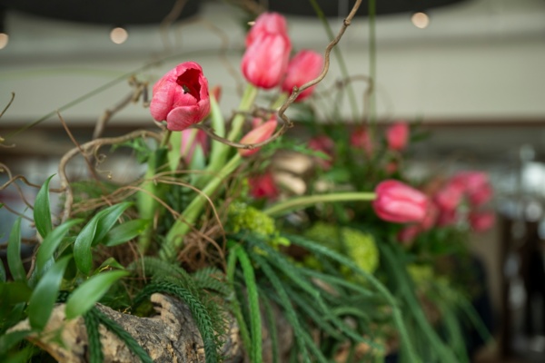 Thoma-Büroeröffnung im Stocken-Areal 2026: Tag 2