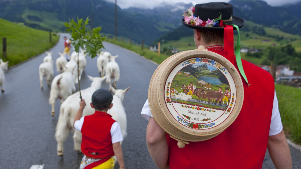 Appenzell im Käsefieber