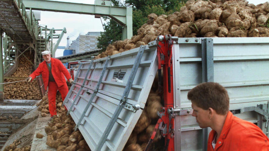 Güterzug auf dem Areal der Zuckerfabrik Frauenfeld entgleist