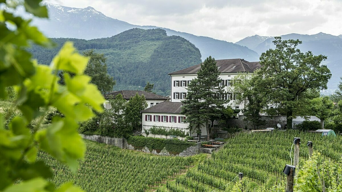 Haus Gutenberg richtet sich strategisch neu aus