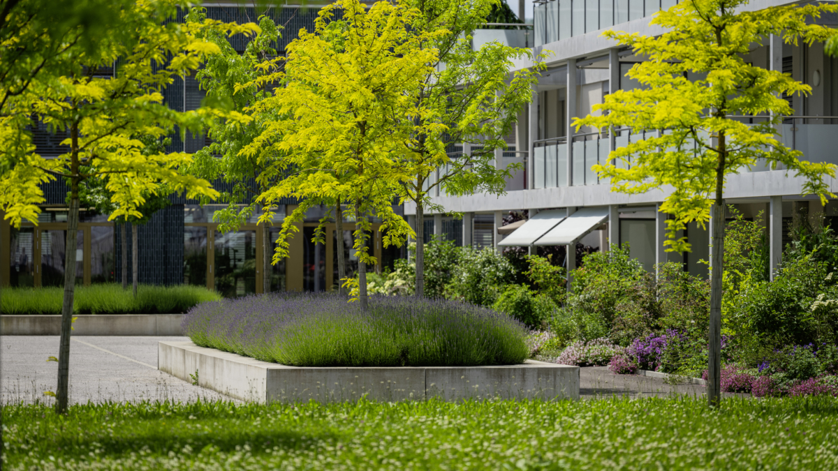 50 Jahre Profis fürs Grün: Wo Natur und Unternehmertum zusammenfinden