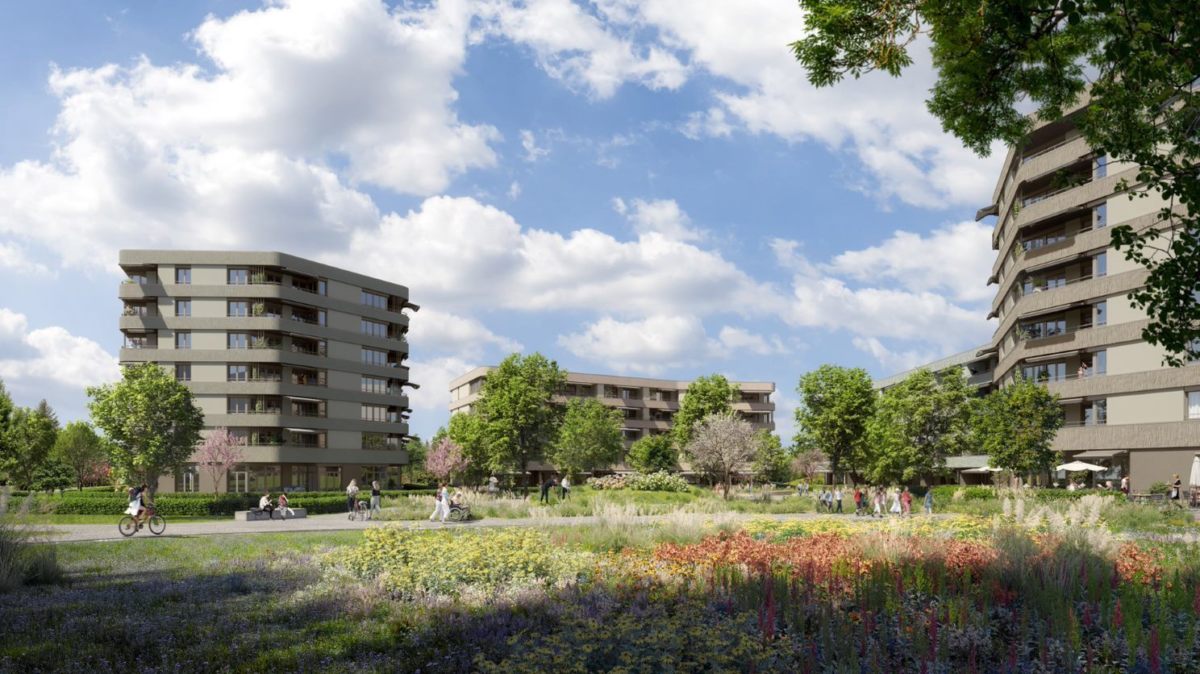 Visualisierungen Umgebung und Wohnungen Hirzenpark