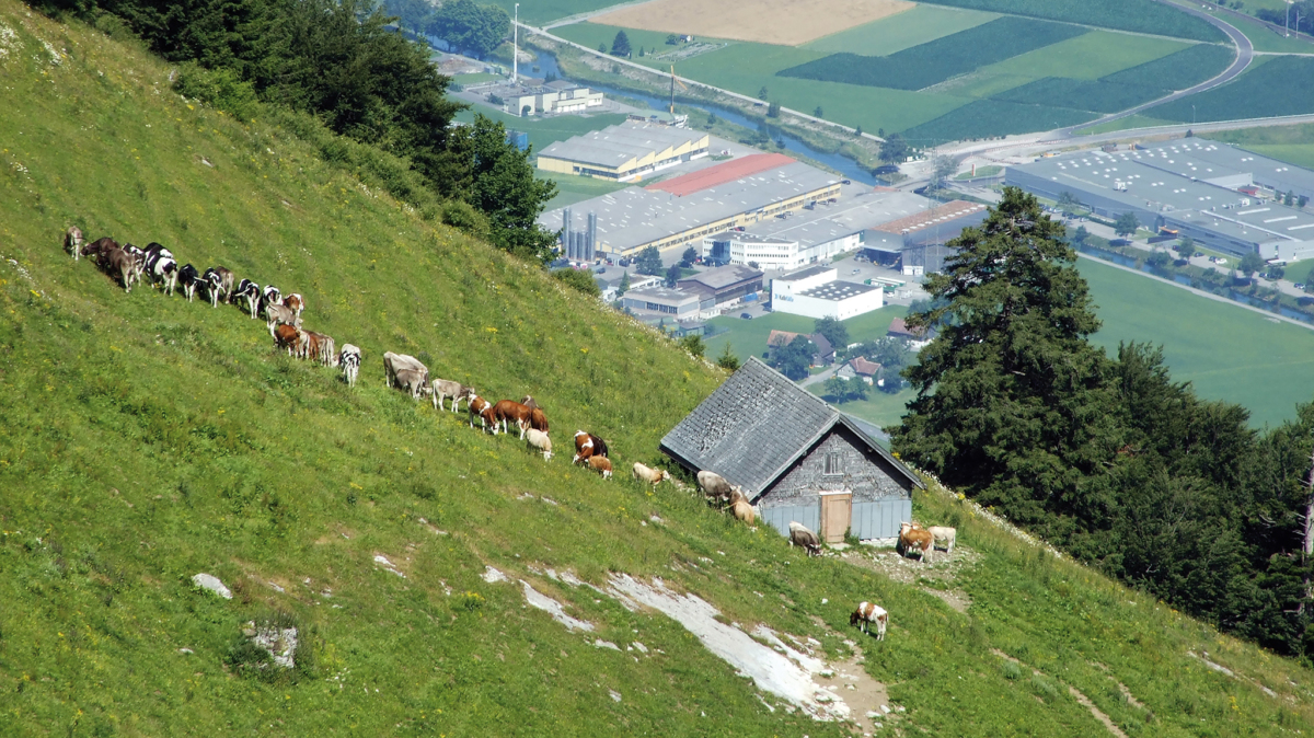 Der Appenzeller Wirtschaft  geht es gut – noch