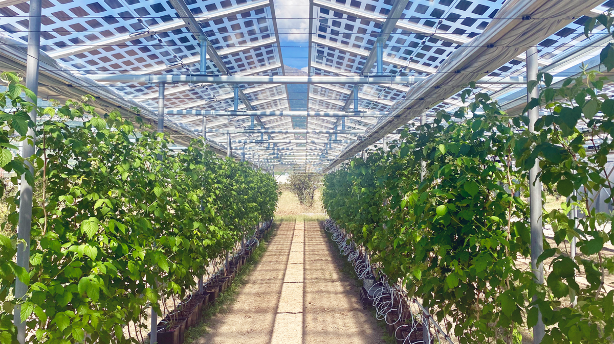 EKT Energiestiftung unterstützt Projekte mit Leuchtturmcharakter