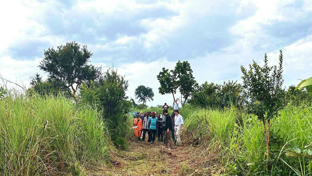 Ecosia investiert in «ASC Impact Forestry Fund» für nachhaltige Agroforstwirtschaft in Angola und Äthiopien