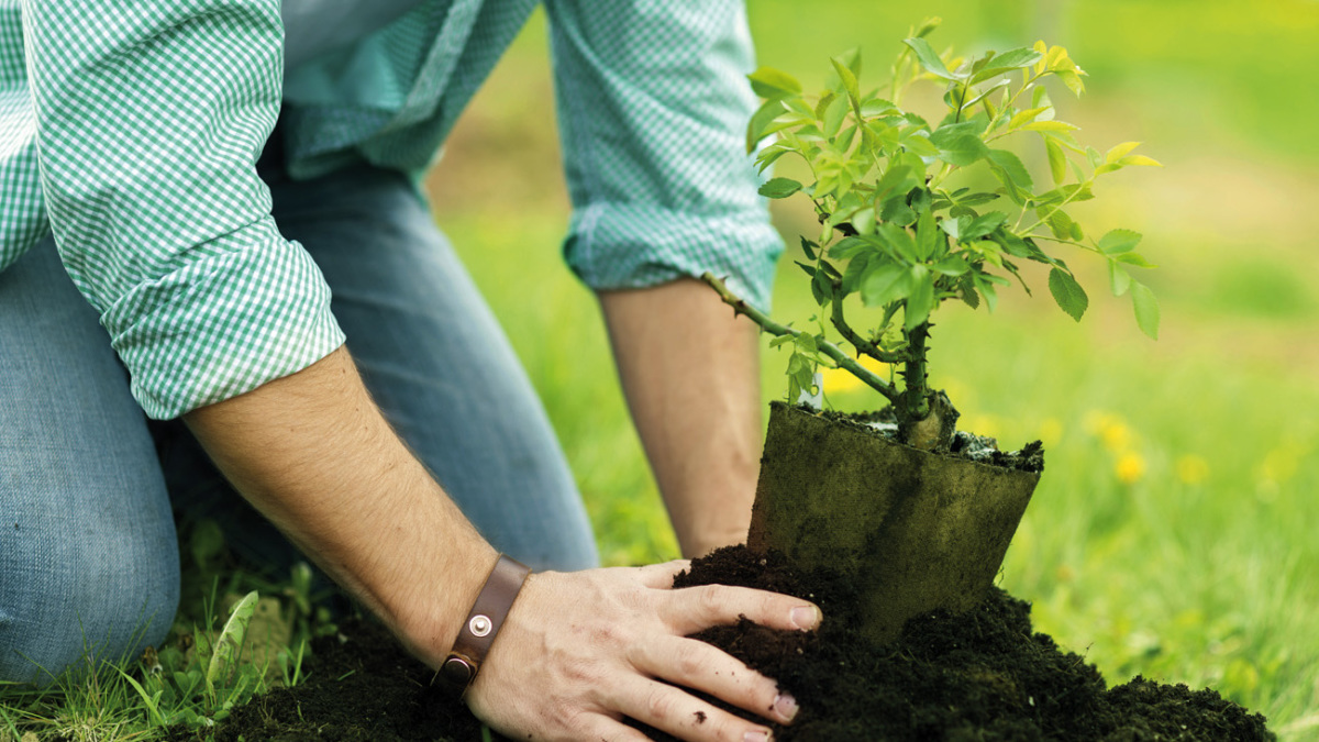 Erste Schritte zur CO2-neutralen Schweiz
