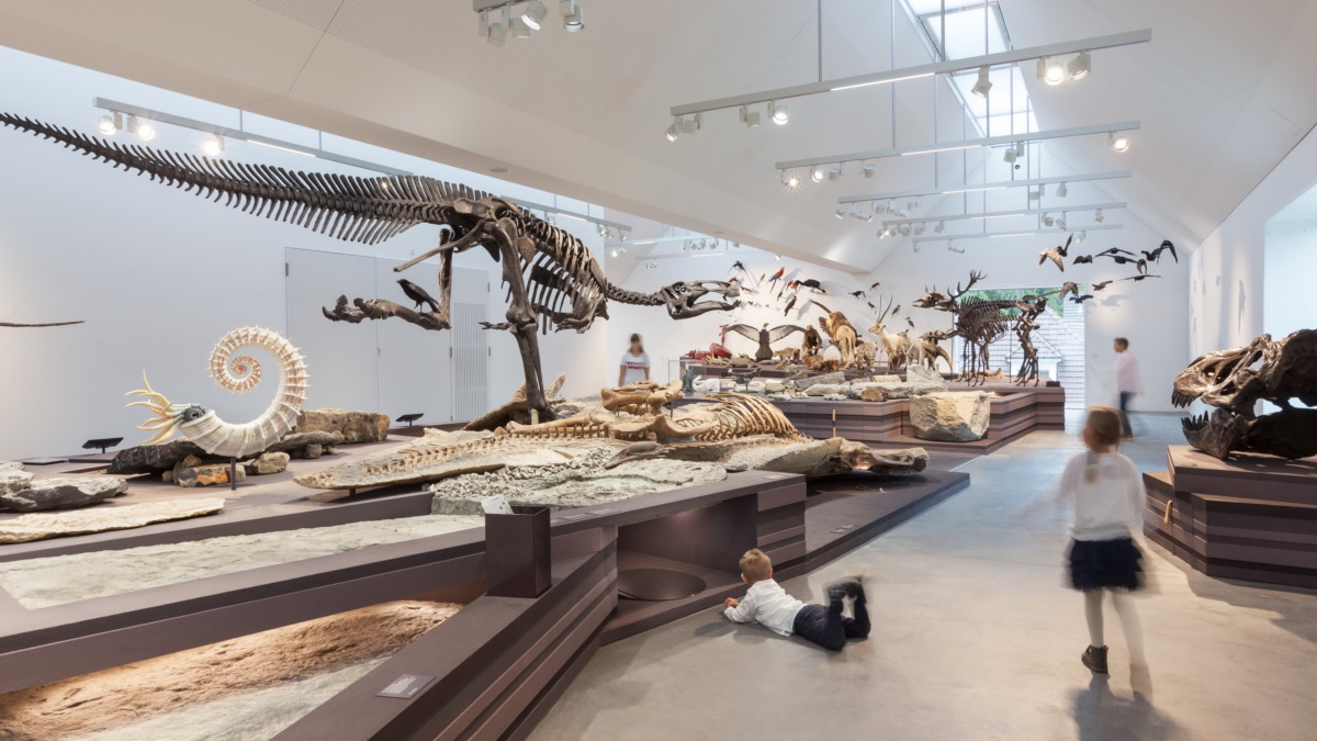 Naturmuseum St.Gallen wird ausgezeichnet