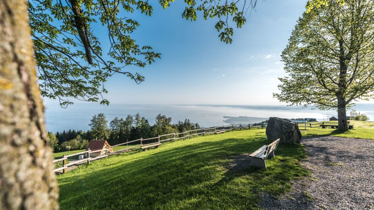 Der Countdown läuft