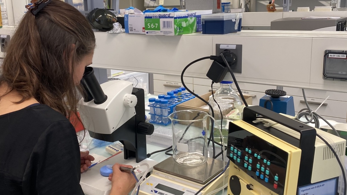 Oertli Instrumente nimmt «Oertli Ophtha Lab» in Betrieb