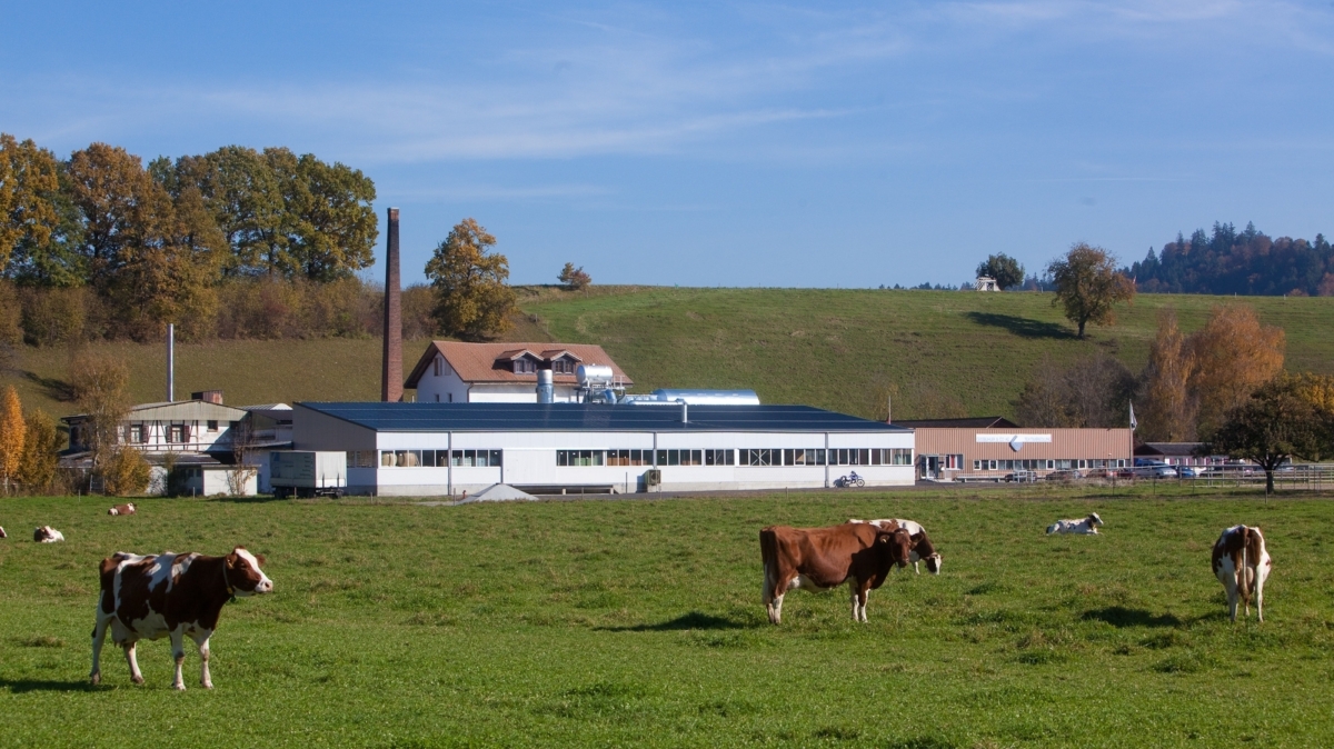 Teilbereiche von Cilander gerettet