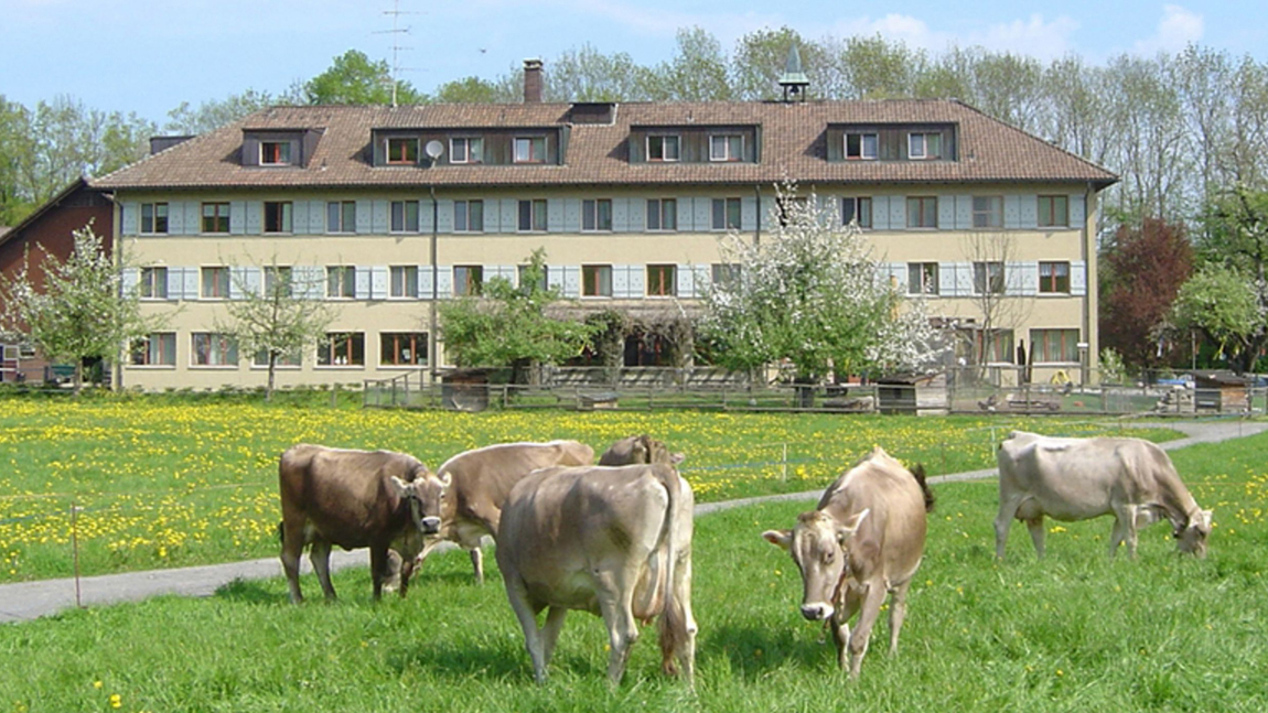 Übergangslösung für Heime Espel und Schwalbe