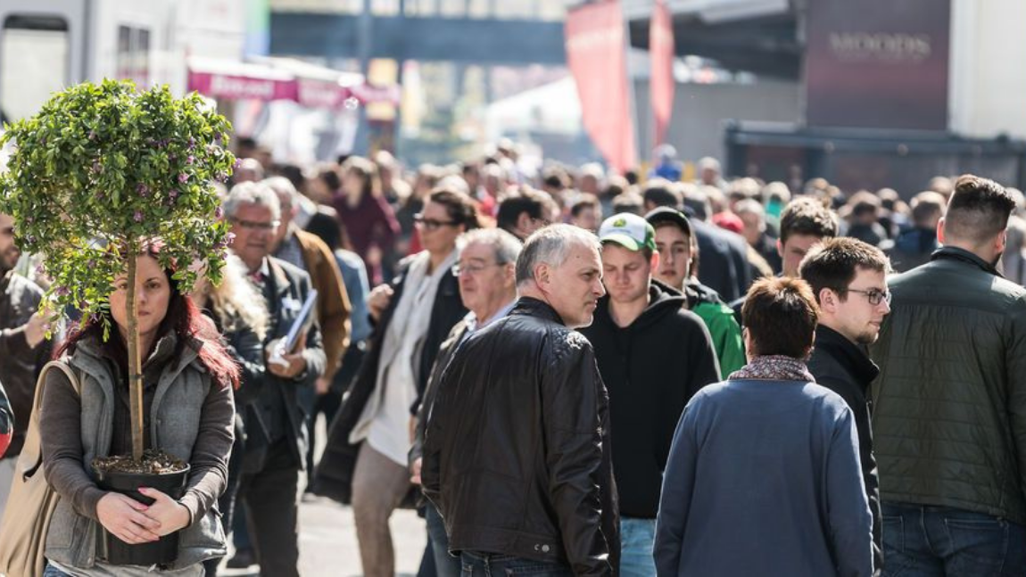 Keine Immo Messe Schweiz und keine OFFA