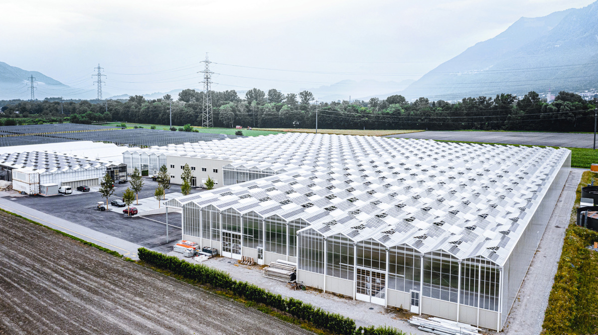 Die Agri-PV-Anlage in Buchs