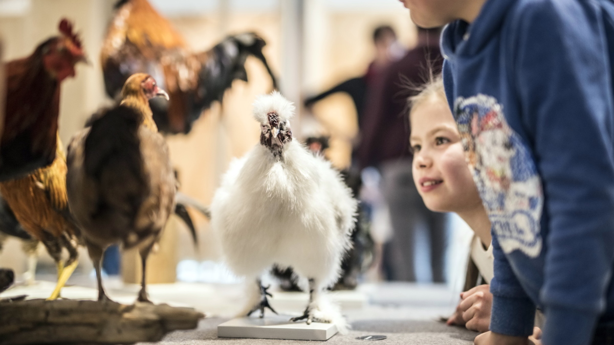 Tier&Technik: Fachmesse 2022 abgesagt